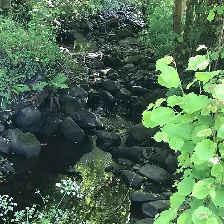 Дом отдыха Lissyclearig