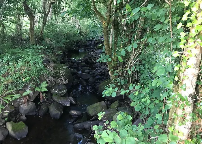 Lissyclearig Tatil Evi *